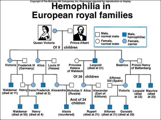 Hemophilia and the russian royal family